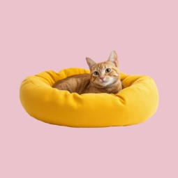 Category image: Cat Beds